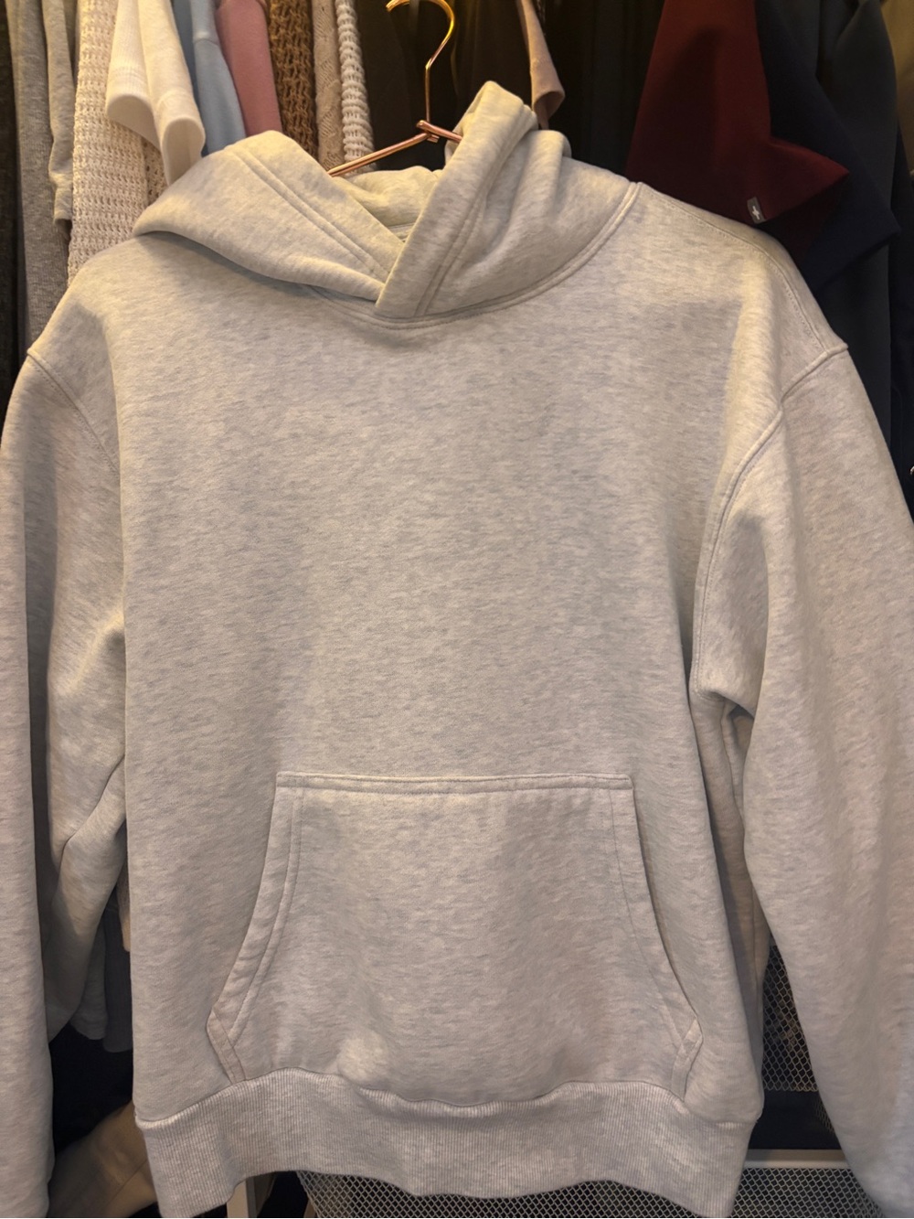 Aritzia sweat fleece perfect hoodie